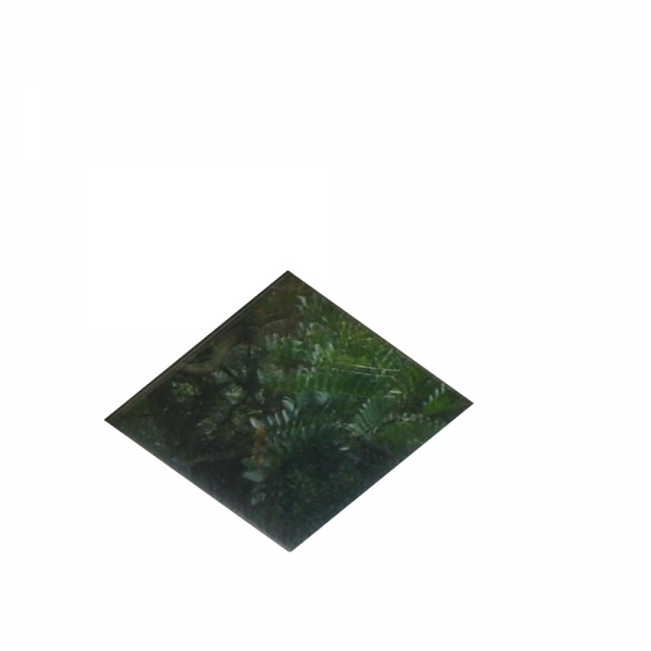 Creation of garden book: Step 1